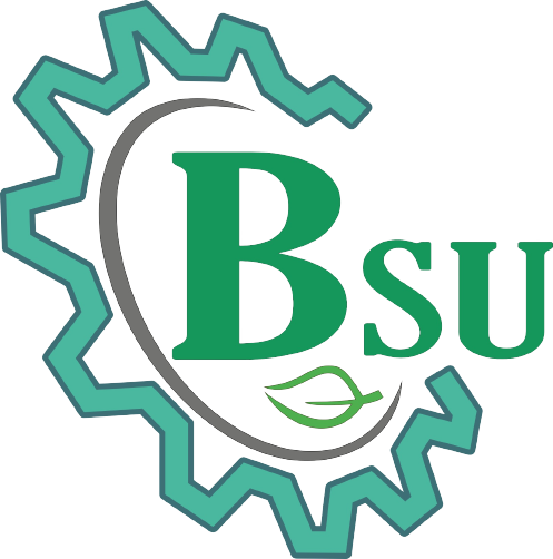 BSUI